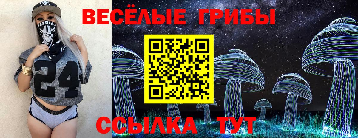 купить наркотики сайты  Вход с VPN  Псилоцибиновые грибы прущие грибы  Озёры  Псилоцибиновые грибы Magic Shrooms 
