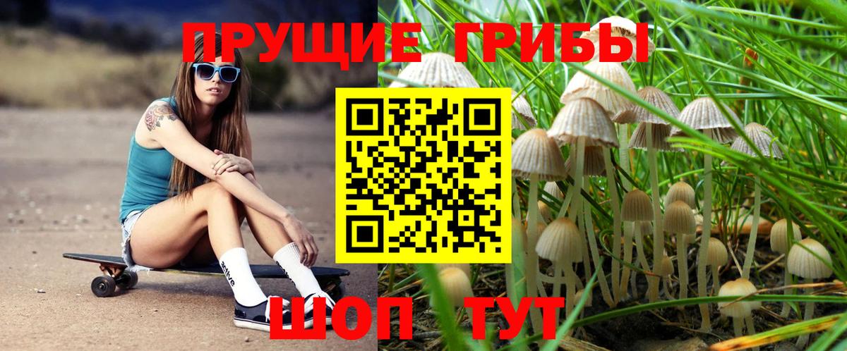 Псилоцибиновые грибы Psilocybe Озёры